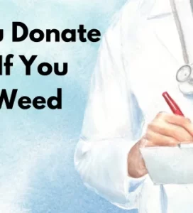Can You Donate Plasma If You Smoke Weed
