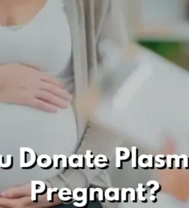 Can You Donate Plasma While Pregnant