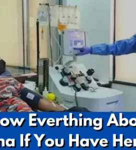 Get To Know Everthing About Donate Plasma If You Have Herpes