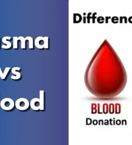 Plasma VS Blood