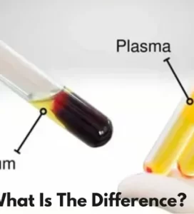 What Is The Difference in serum and plasma